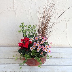 園芸ネット本店｜季節の寄せかごセットF：ブラウンバスケット入り