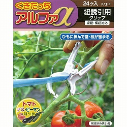 くきたっちアルファKA-P24 細紐用 24個入り