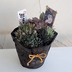 多肉植物の寄せ植え4号鉢植え／黒