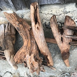 熊野の天然流木・中サイズ20～30cm
