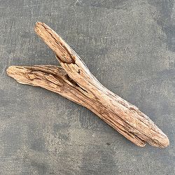 熊野の天然流木・大サイズ30～40cm