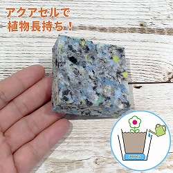 水やりサポート資材・アクアセルＡ（5.5×5.5×ｈ2cm）