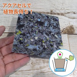 水やりサポート資材・アクアセルF（8.5×8.5×ｈ2.5cm）