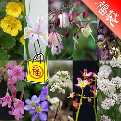[送料無料]春の山野草10種 Bセット・草の友3リットル付