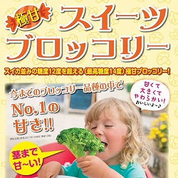 極甘！スイーツブロッコリー3号ポット 2株セットy
