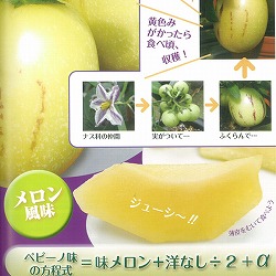 [26年5月中下旬予約]ペピーノ：ゴールドNo.1　大苗4号ポット