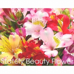 アルストロメリア：品種ミックス3.5号ポット