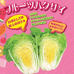 [26年8月下旬予約]フルーツハクサイ苗3号ポット 12株セット