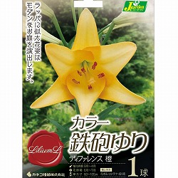 ユリ：カラー鉄砲ゆり　ディファレンス1球入り 2個セット