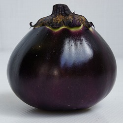 [26年4月下旬予約]信州野菜：ナス：小布施丸なす自根苗3号ポット