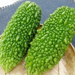 [26年4月下旬予約]琉球野菜：あばしゴーヤ（苦瓜・ニガウリ）自根苗3号ポット 6株セット