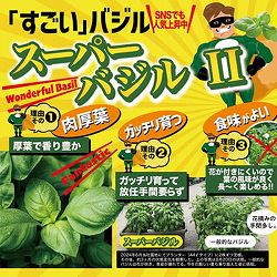 [送料無料][26年4月下旬予約]スーパーバジル2・3号ポット 24株セット