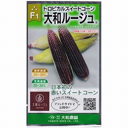 トウモロコシ：トロピカルスイートコーン 大和ルージュ（10ml) 2袋セット[3～8月まき　野菜タネ]