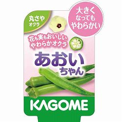 [26年4月下旬予約]オクラ：あおいちゃん自根苗3号ポット 3株セット