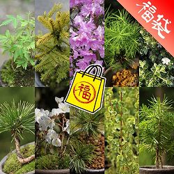 [送料無料]ミニ盆栽10種セット・草の友3リットル付