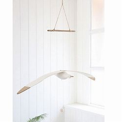 ウッド・フライングシーガル（BJ-38）