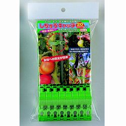 しちゅうキャッチ　２０（緑）24Ｐ