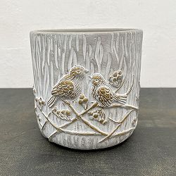 エルメバードS／直径15ｃｍ（SQ18）