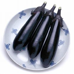 [26年4月上旬予約]ナス：筑陽（ちくよう）自根苗3号ポット