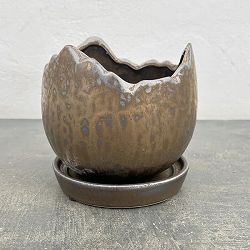 ソル：メロM　ブロンズ4298（直径14.5cm）・皿付