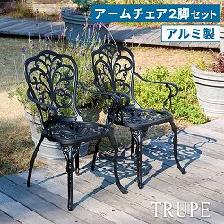 [送料無料]アルミ製アームチェア 2脚セット 「トルペ」 マットブラック（BKS-C5289-2P-BLK）