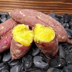 [26年4月下旬予約]サツマイモ苗：あまはづき(PVP)4連カット6パック セット（合計24株）