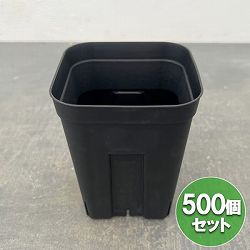 プレステラ120型 深鉢 ブラック 500個セット
