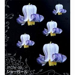 クレマチス：ショーガール4号ポット（ビオルナ系）