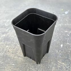 【今週の会員プレゼント！】プレステラ75型 深鉢 ブラック<