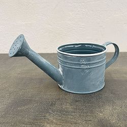 クレールポット：ジョーロ（幅20.5cm、奥行9.5cm、高さ10cm）WCP25-J10
