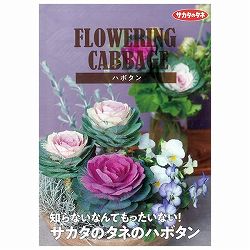 【会員プレゼント！】商品カタログ：サカタのタネ　ハボタン<