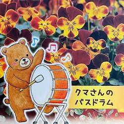 ビオラ：クマさんのバスドラム（ビビ ファイア）2.5号ロングポット