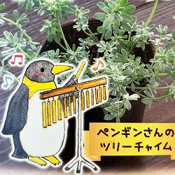 ロータス：ペンギンさんのツリーチャイム（クレティクス）2.5号ロングポット