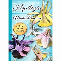 オダマキ：ミモトオダマキ　マイコプレミアム3.5号ポット