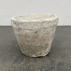 モスポット:カクタスポットホワイトSS（直径10cm×高さ7.5cm）
