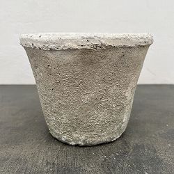 モスポット:カクタスポットホワイトM（直径16cm×高さ12cm）