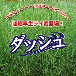 牧草種子：ライ麦 ダッシュ 10kg入り[タネ 秋まき 超極早生・低温期の伸長に優れる！]