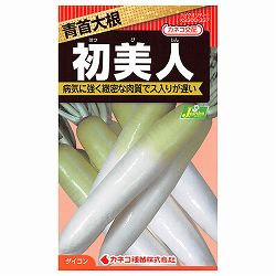 ダイコン（青首大根）種：初美人（はつびじん）[野菜タネ]