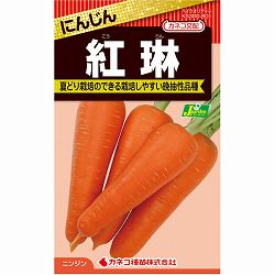 ニンジン：紅琳（こうりん）[冬まき　野菜タネ]