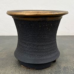 信楽焼き：金彩オモト 5号（直径約15cm）