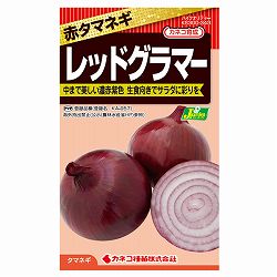 タマネギ（玉ねぎ）：レッドグラマー[野菜タネ]