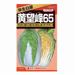 ハクサイ（白菜）：黄望峰65（さぼうほう）[野菜タネ]
