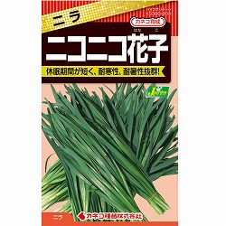 ニラ：ニコニコ花子（はなこ）[2-4月まき　野菜タネ]
