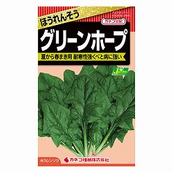 ホウレンソウ：グリーンホープ[野菜タネ]