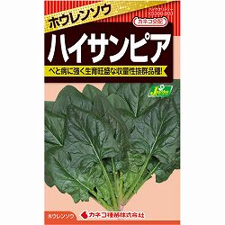 ホウレンソウ：ハイサンピア[野菜タネ]*