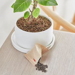 体力ベース テトラパック 30g 6個セット