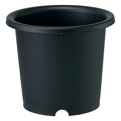 菊鉢4号（直径13.3cm）ブラック 5個セット