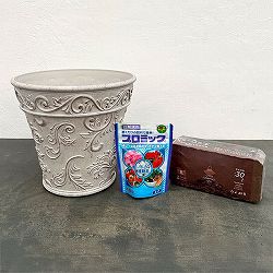 ボールドアラベスク　ベーシックＬホワイトと土と肥料のセット