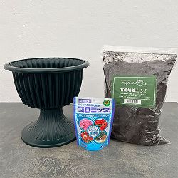 スタンド鉢ルナ8号グリーンと土と肥料のセット