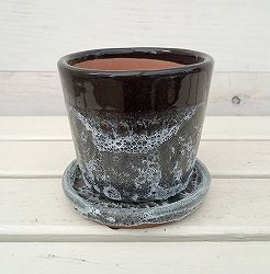 （わけあり特価）ハレー：ブラックS4号・受皿付（直径13cm、高さ13cm）*